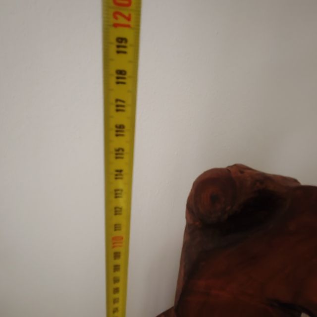 Radice in legno indonesiana