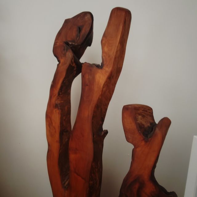 Radice in legno indonesiana