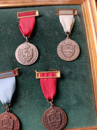 Medallas mérito académico Maristas Jaén