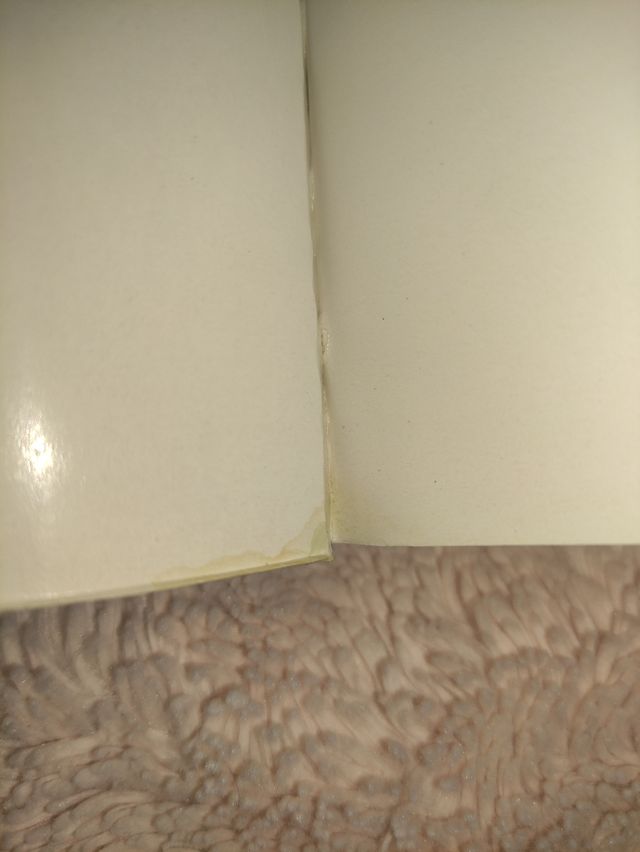 Manuale di numismatica (Hobby e collezionismo) (Italian Edition)