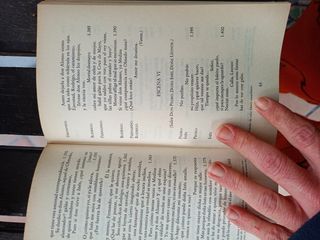 El caballero de Olmedo / Fuente Ovejuna (historia de la literatura, 5)