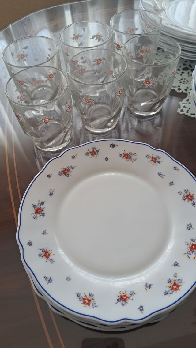 Vajilla ARC de Arcopal vintage flores. Francia.