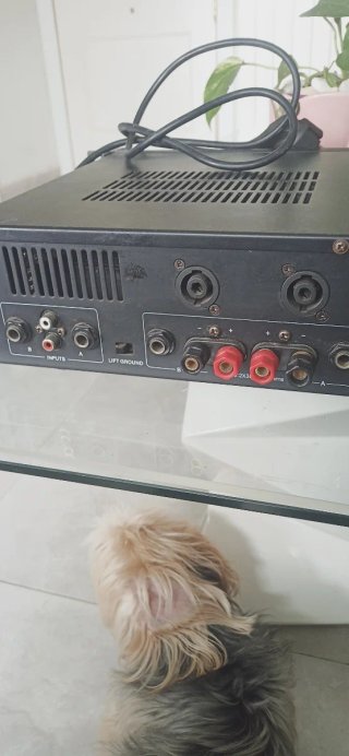 Etapa de potencia.amplific ador