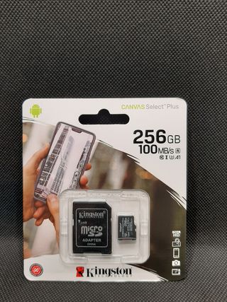 Micro SD 256 Gigas