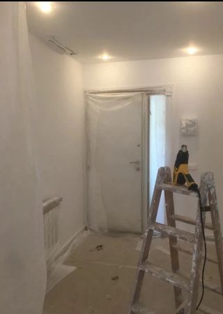 Pintor económico y profesional