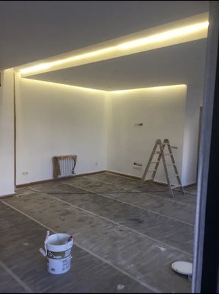 Pintor económico y profesional