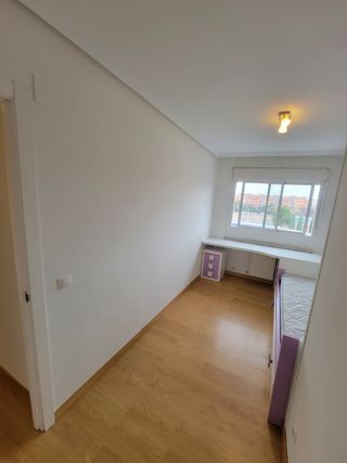 Pintor económico y profesional