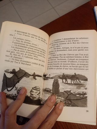 L'Oeil Du Loup (Pocket Jeunesse) (French Edition)