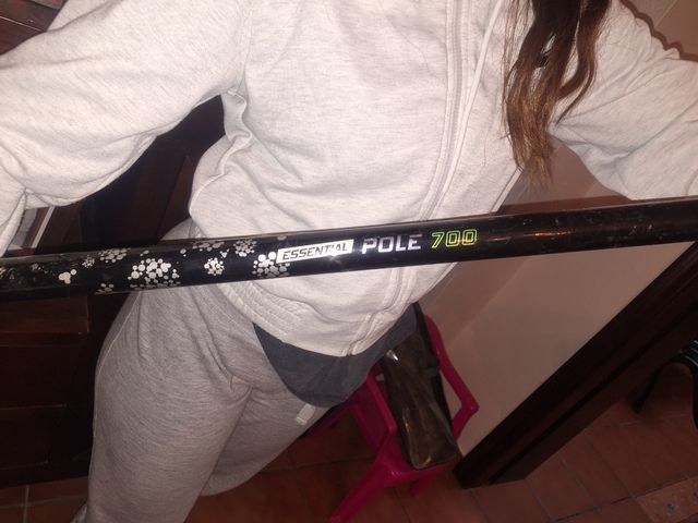 Lote de 2 Cañas de pescar con asesorios