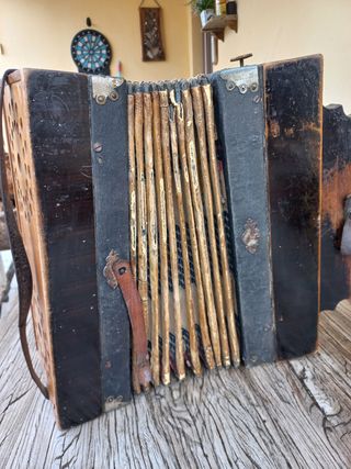 Acordeon 