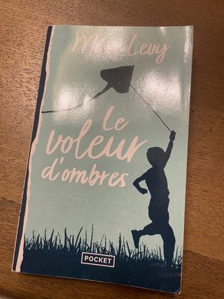 Le voleur d'ombres (Best) (French Edition)