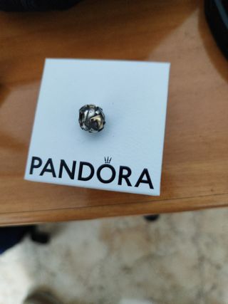 Pandora charm