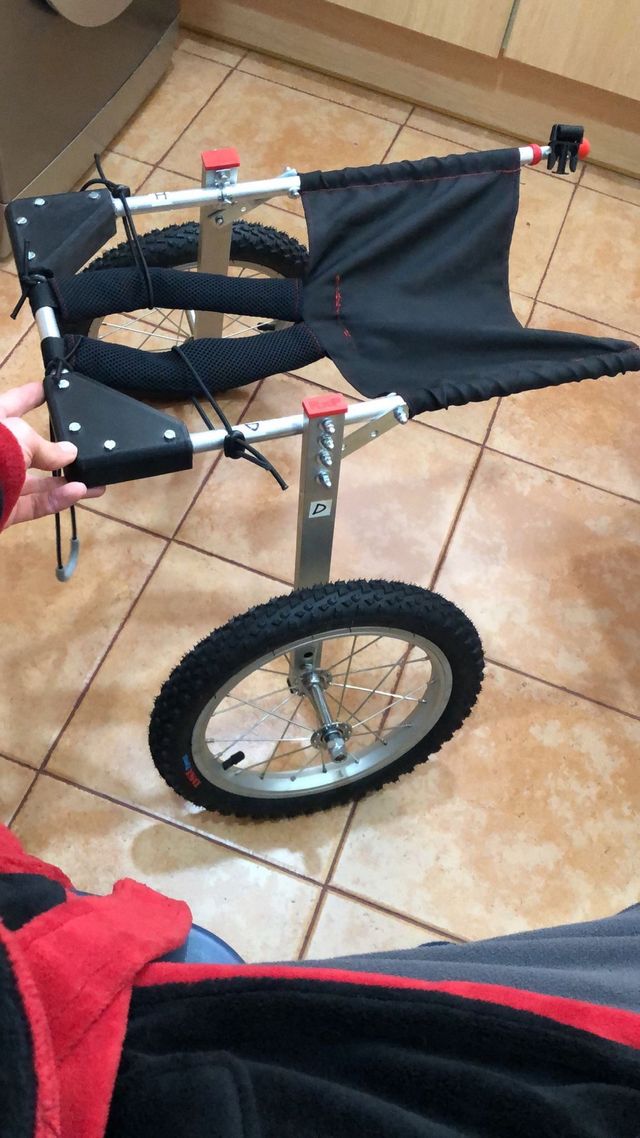 carrinho/rodas para cães médios máx 30kg