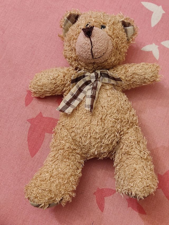 Orsacchiotto con fiocco a quadretti