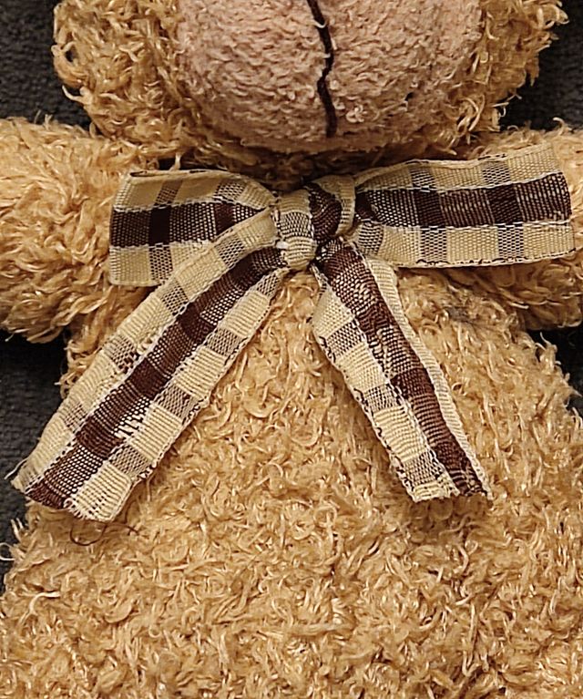 Orsacchiotto con fiocco a quadretti