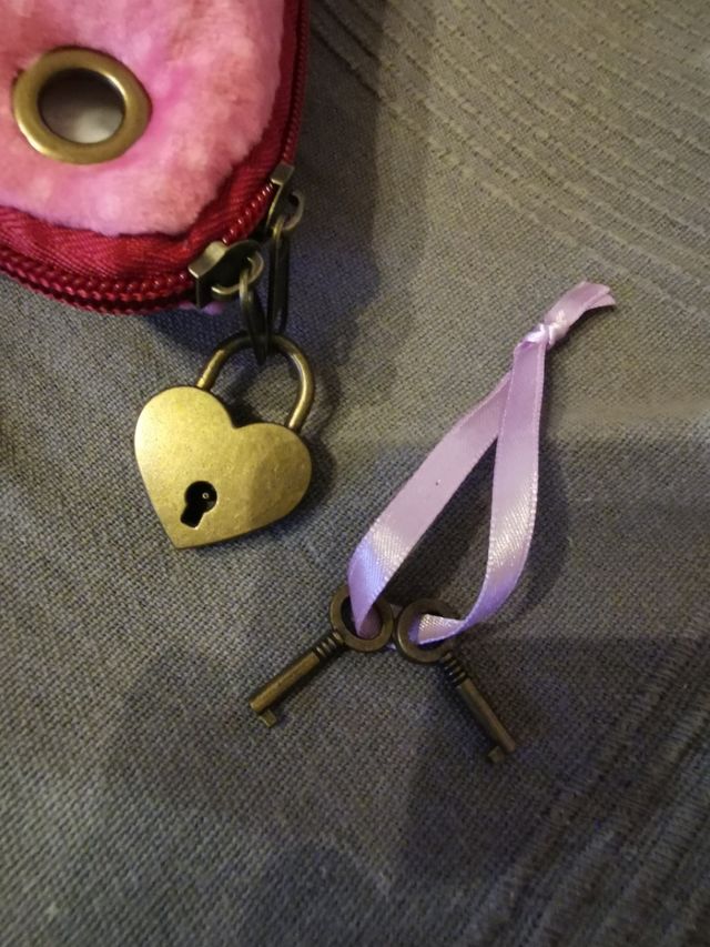 Cojin de coleccion gorjuss santoro