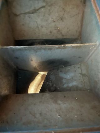 Sembradora de patatas