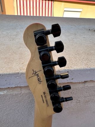 Fender Telecaster jim Root
