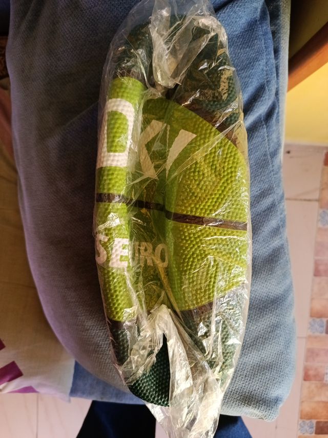 Baloncesto DKV Joventut