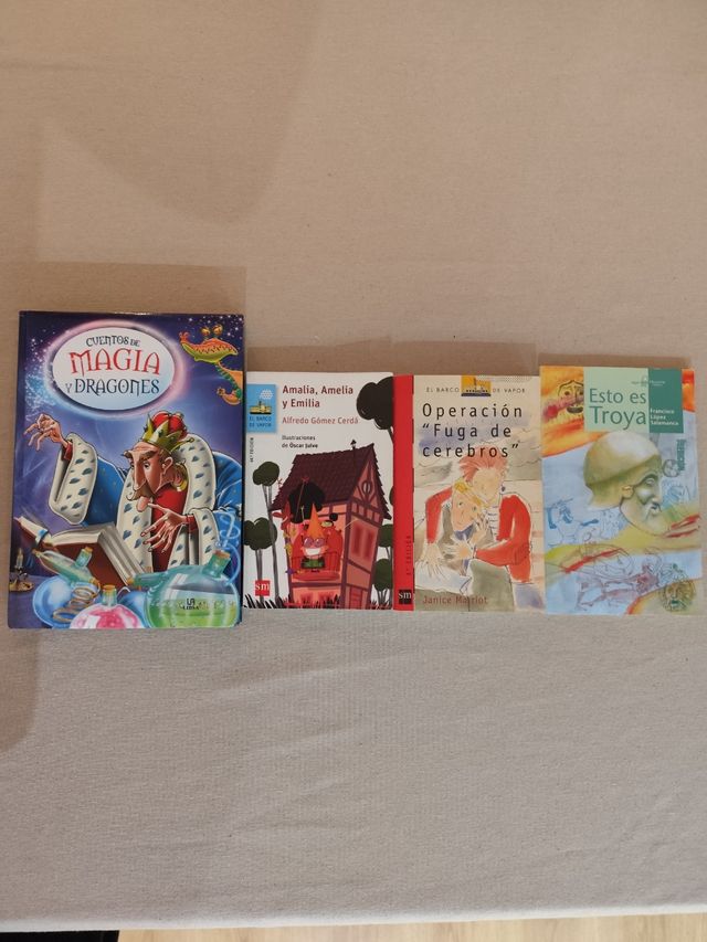 Lote libros escolares