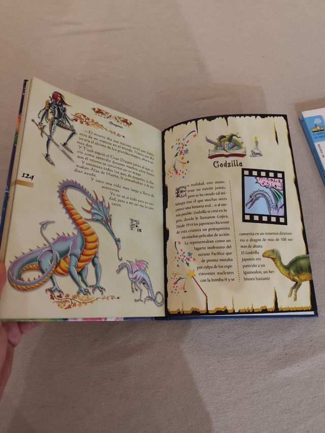 Lote libros escolares