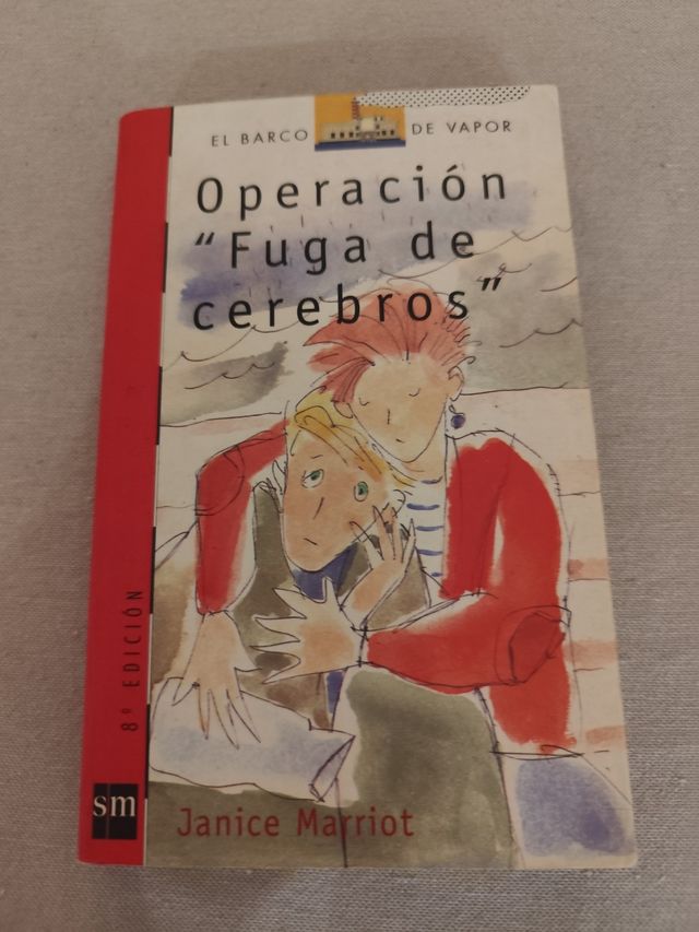 Lote libros escolares