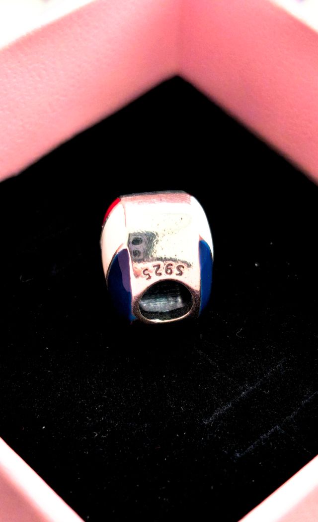 Charm Corazón Bandera Francia