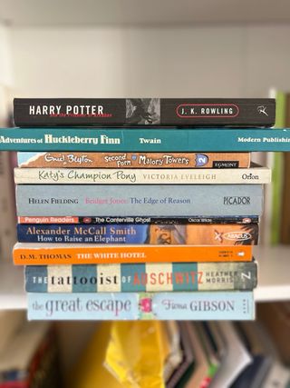 lot 10 libros en ingles