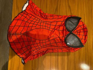 Disfraz Amazing Spiderman 2 adulto