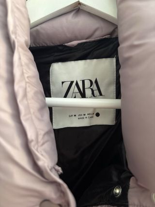 Plumifero zara