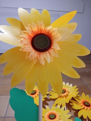 Girasoles 
