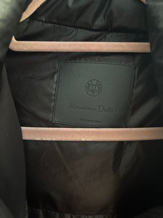 Plumifero maximo dutti