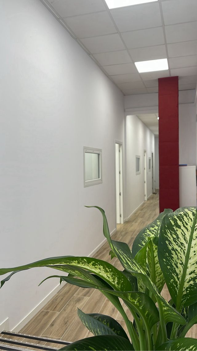 Academia clases Chino Rivas Madrid