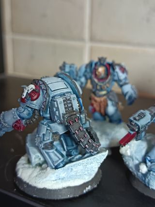 Terminator Space Wolf 40k