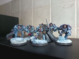 Terminator Space Wolf 40k