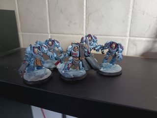 Terminator Space Wolf 40k