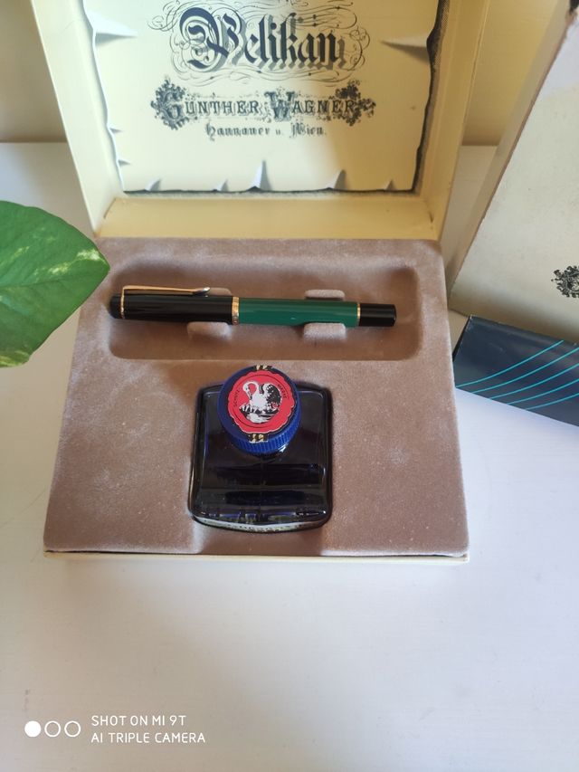 Penna stilografica Pelikan