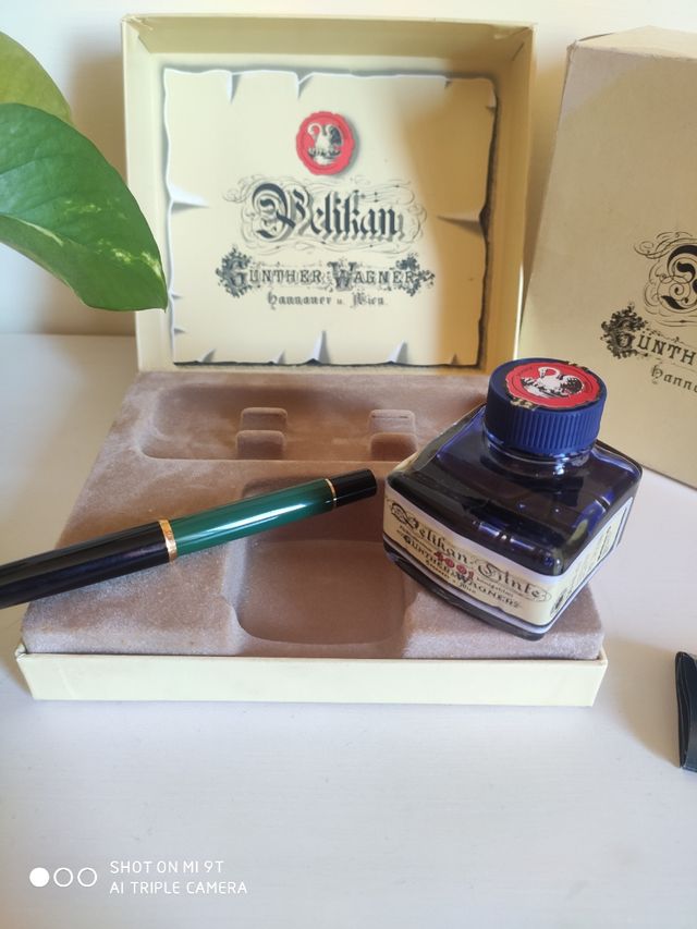 Penna stilografica Pelikan