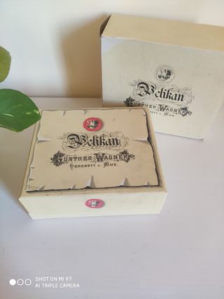 Penna stilografica Pelikan