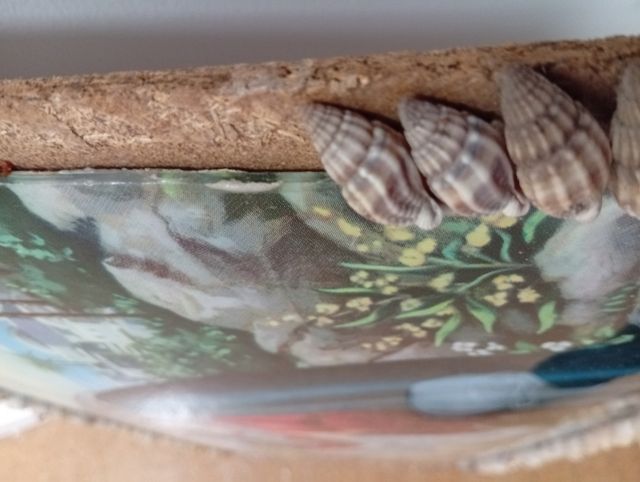 Nacimiento de Jesús cuadro