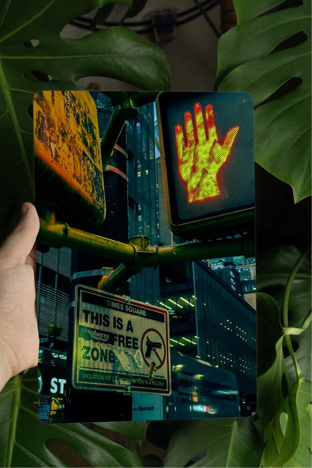 New York Free Army Zone Poster