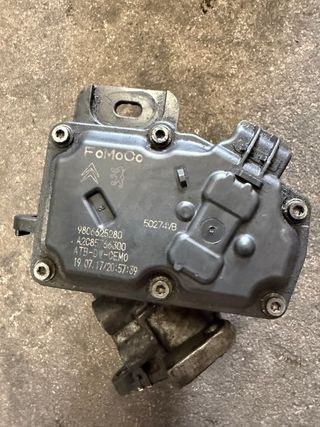 Cuerpo de Mariposa Citroen