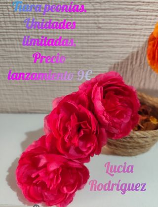 tiara peonías liquidación