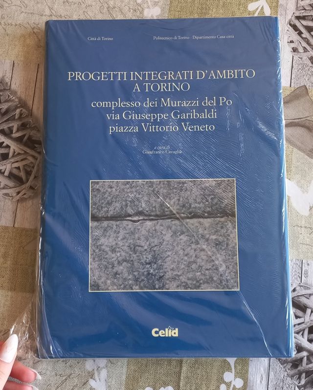 Progetti integrati d'ambito a Torino