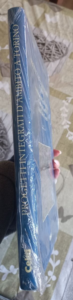 Progetti integrati d'ambito a Torino