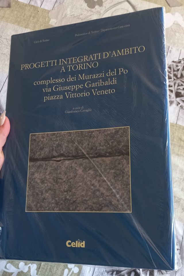 Progetti integrati d'ambito a Torino