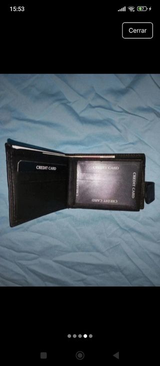 Cartera de piel 67