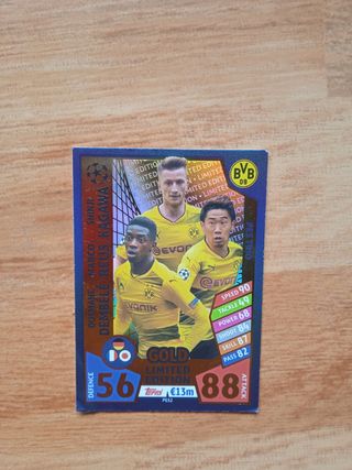 Cartas champions edición limitada 17-18