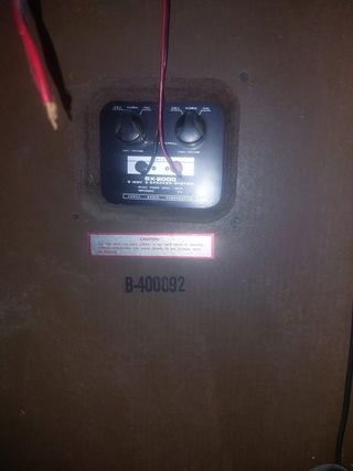 Coppia di casse altoparlanti Vintage per impianto