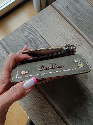 Monedero con varios departamentos